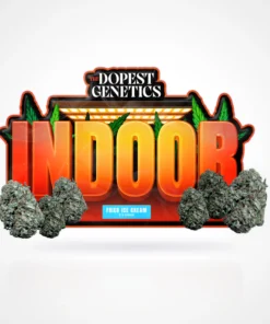 Indoor Fried Ice Cream Indica Flower