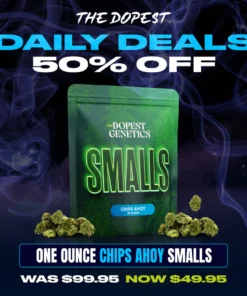 Smalls: Chips Ahoy Hybrid flower 28 grams Daily Deal