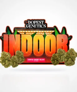 Indoor Stuffed Cherry Gelato Indica Flower 28 grams