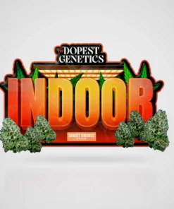 Indoor Sunset Sherbet Indica Flower 28 grams