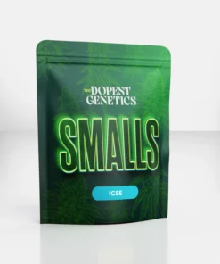 The Dopest SMALLS INDOOR Candy Krush Indica Flower