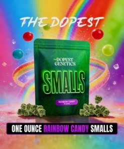 Smalls: RAINBOW CANDY Hybrid flower 28 grams